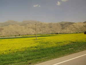 Auf der Königstrasse Richtung Shiraz